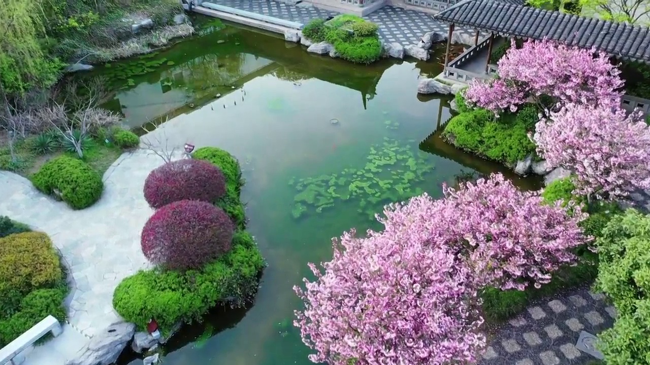 江苏南京江宁织造博物馆的园林建筑景观设计视频素材