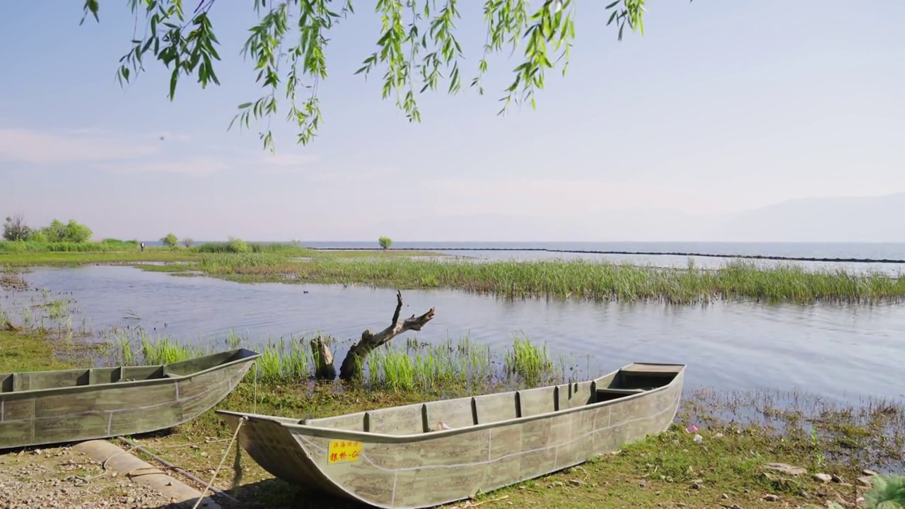 大理洱海沿岸湿地公园视频素材