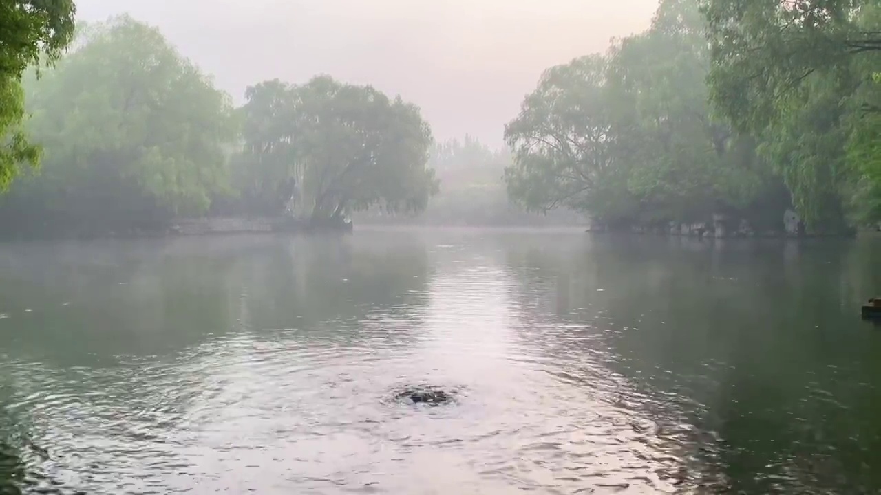 山东省济南市百脉泉公园龙泉视频素材