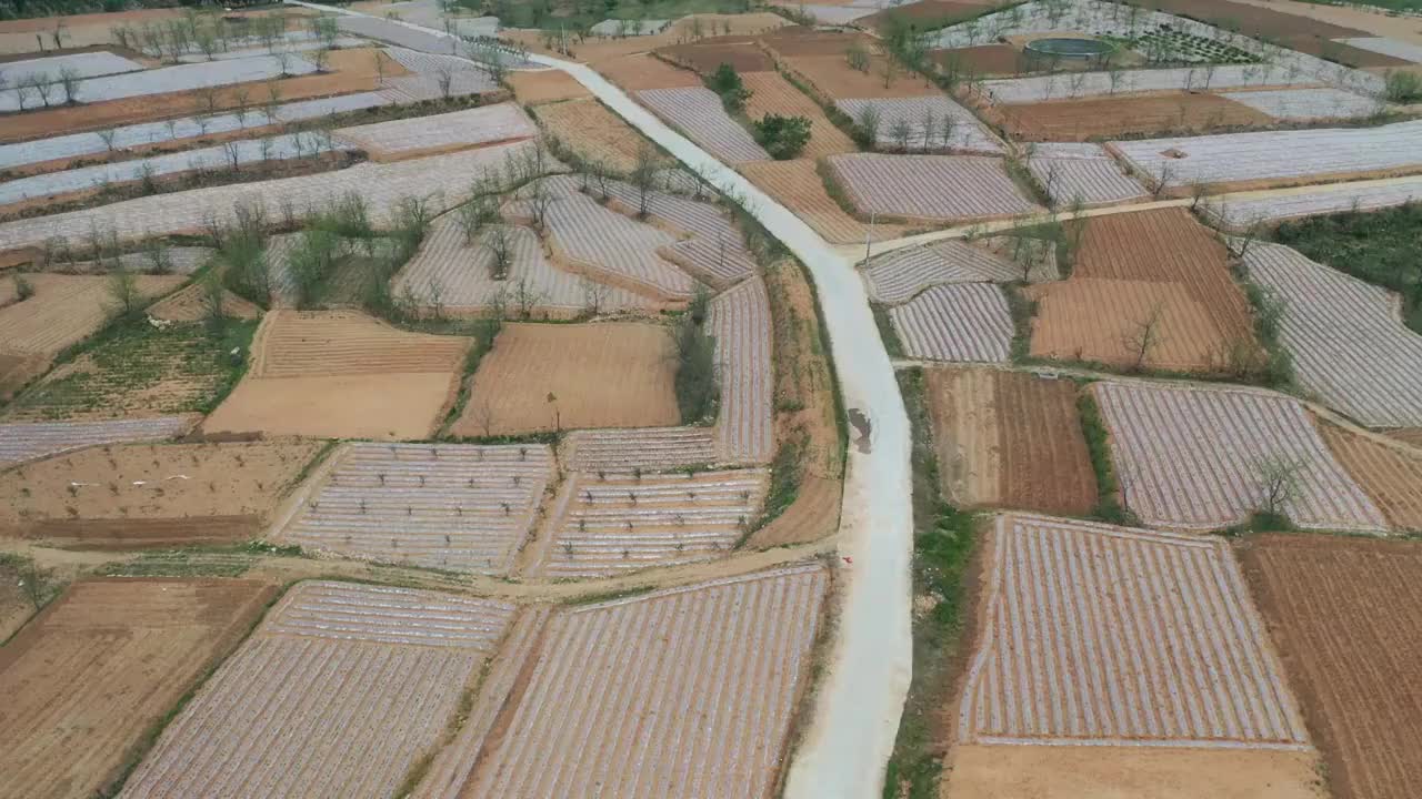 山东枣庄覆盖地膜播种的地块如同给大地披上白纱视频素材