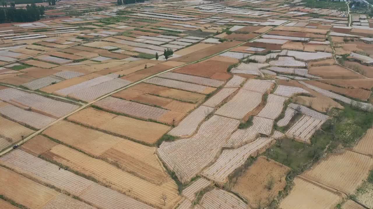 山东枣庄覆盖地膜播种的地块如同给大地披上白纱视频素材