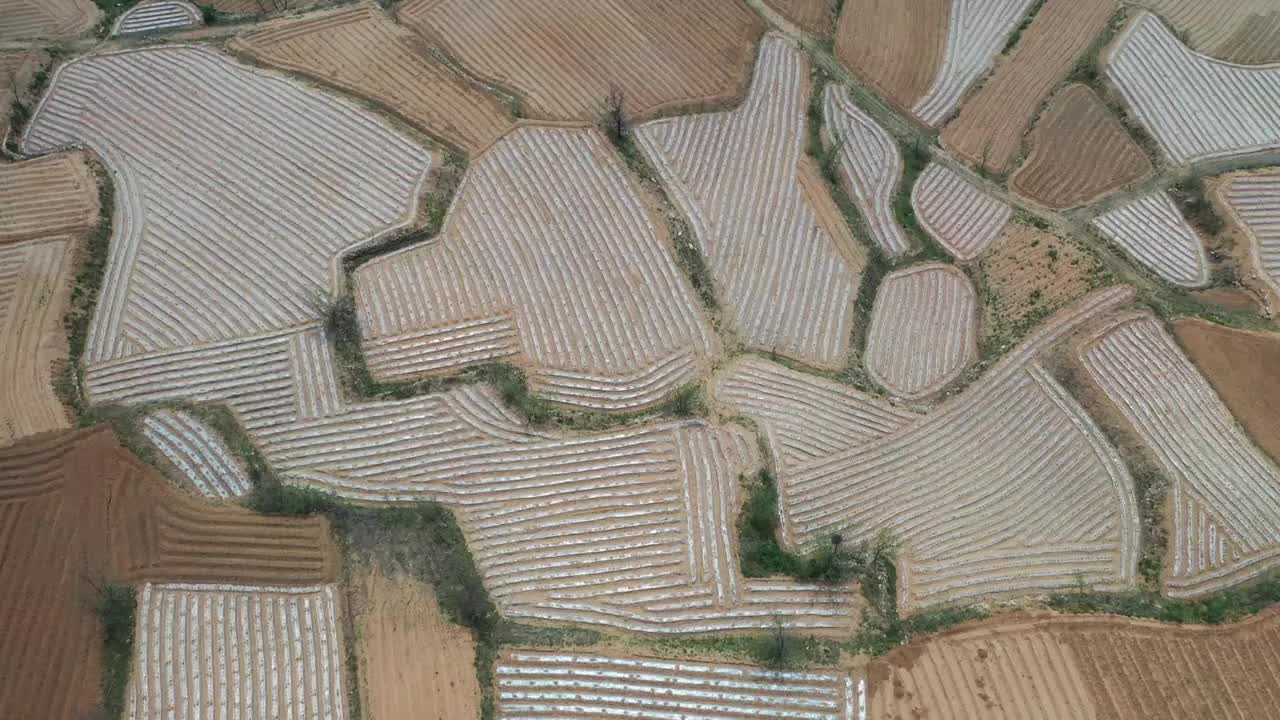 山东枣庄覆盖地膜播种的地块如同给大地披上白纱视频素材