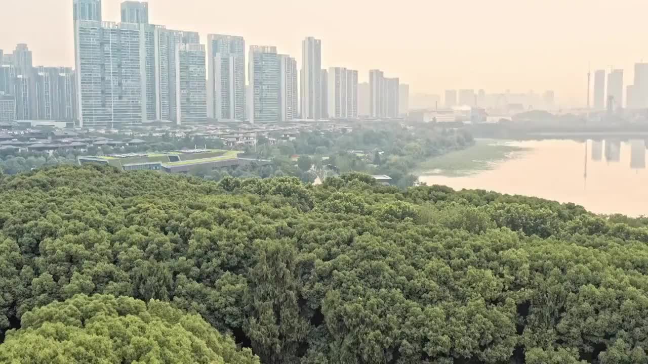 武汉长江市区风景视频素材