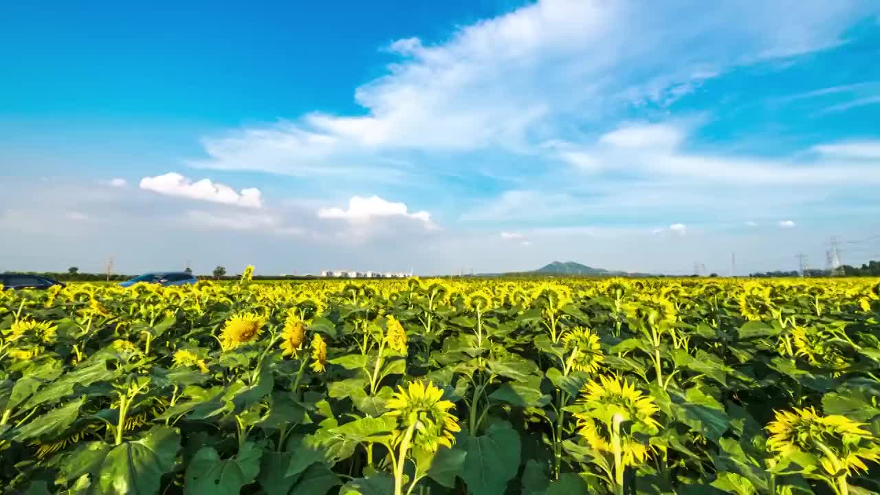 户外的云视频素材