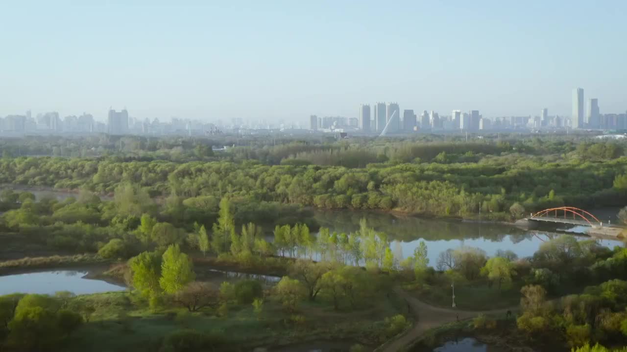 4K,哈尔滨,航拍,清晨,日出,松花江,太阳岛,黑龙江，湿地视频素材