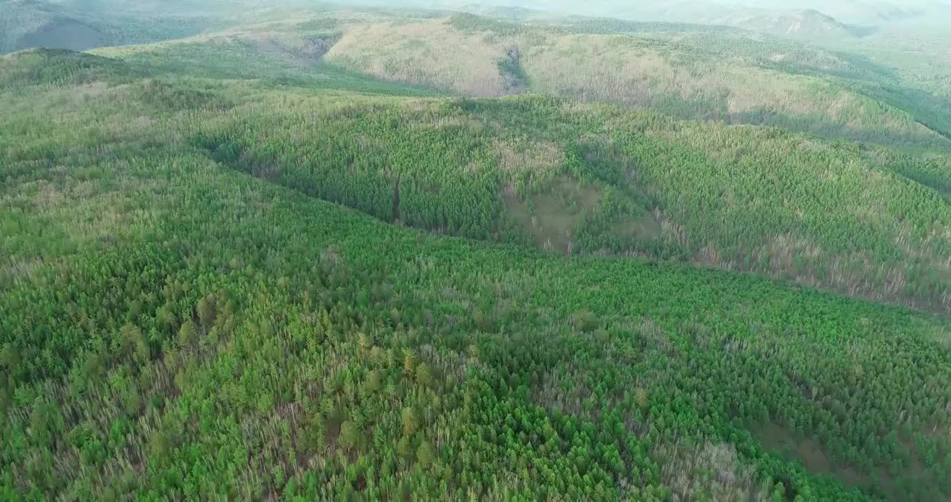 航拍大兴安岭早春绿色山林风景视频素材