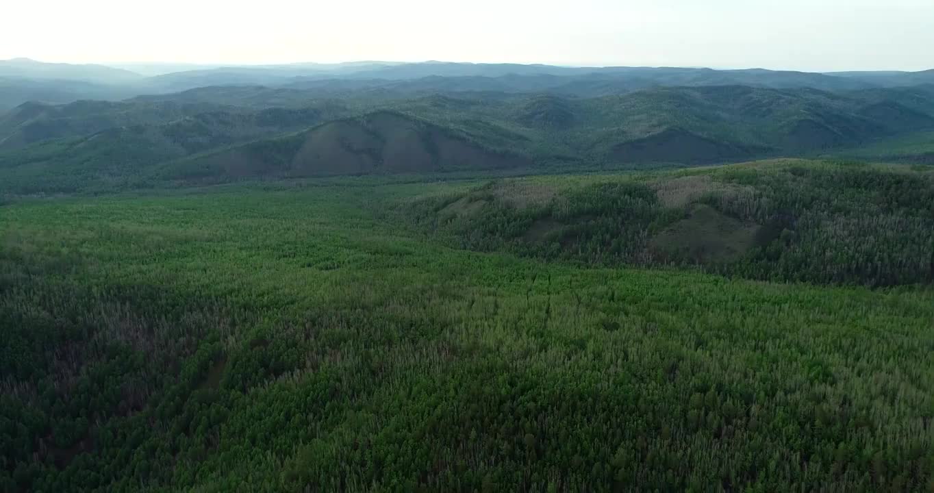 航拍大兴安岭早春绿色山林风景视频素材