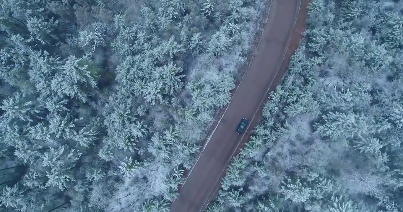 航拍大兴安岭春季极端天气降雪山林山路雾凇视频素材