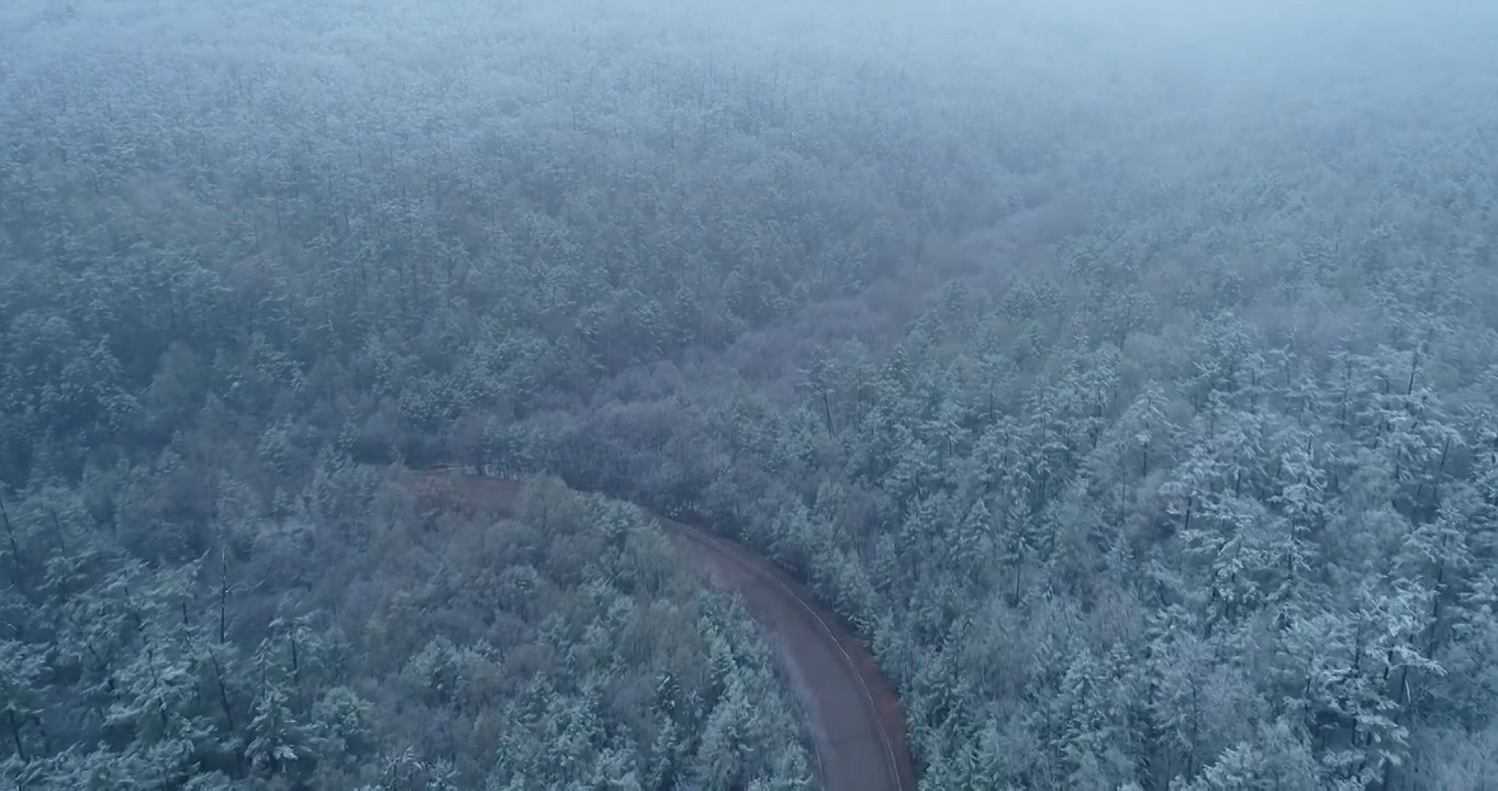 航拍大兴安岭春季极端天气降雪山林山路雾凇视频素材