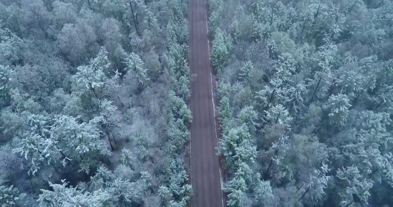 航拍大兴安岭春季极端天气降雪山林山路雾凇视频素材