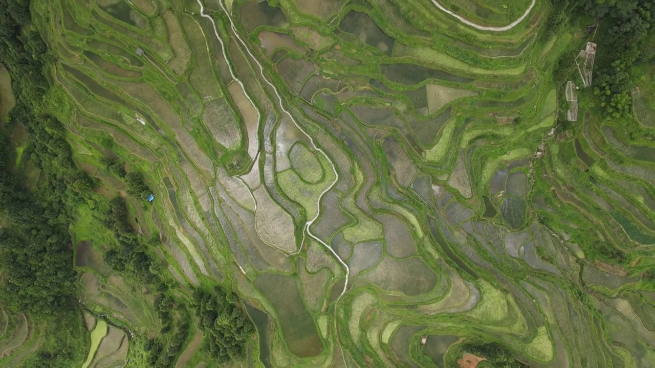 堂安梯田风光视频素材