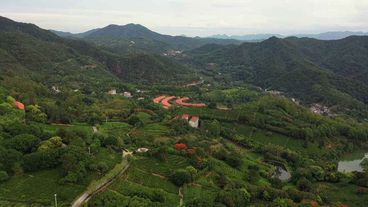 广东省梅州市梅县区雁南飞茶田景区航拍视频素材