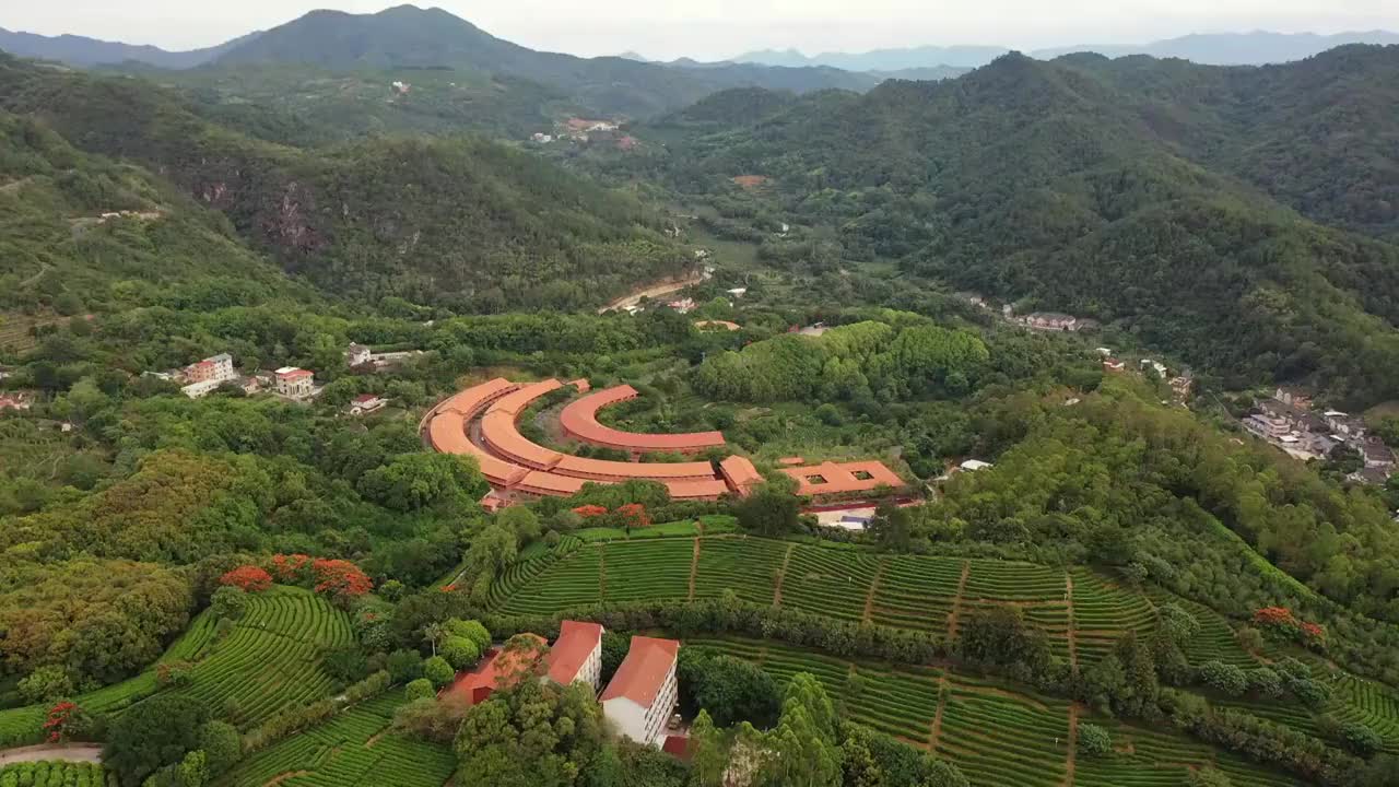 广东省梅州市梅县区雁南飞茶田景区航拍视频素材