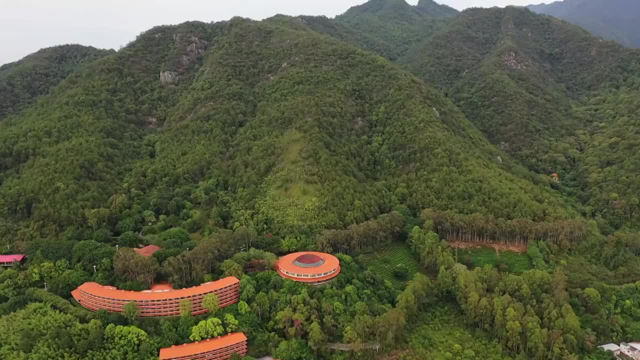 广东省梅州市梅县区雁南飞茶田景区航拍视频素材