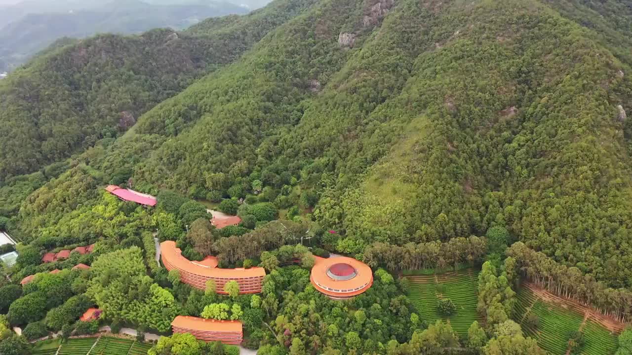 广东省梅州市梅县区雁南飞茶田景区航拍视频素材