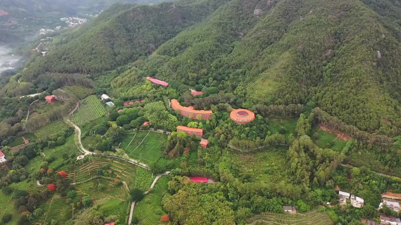 广东省梅州市梅县区雁南飞茶田景区航拍视频素材