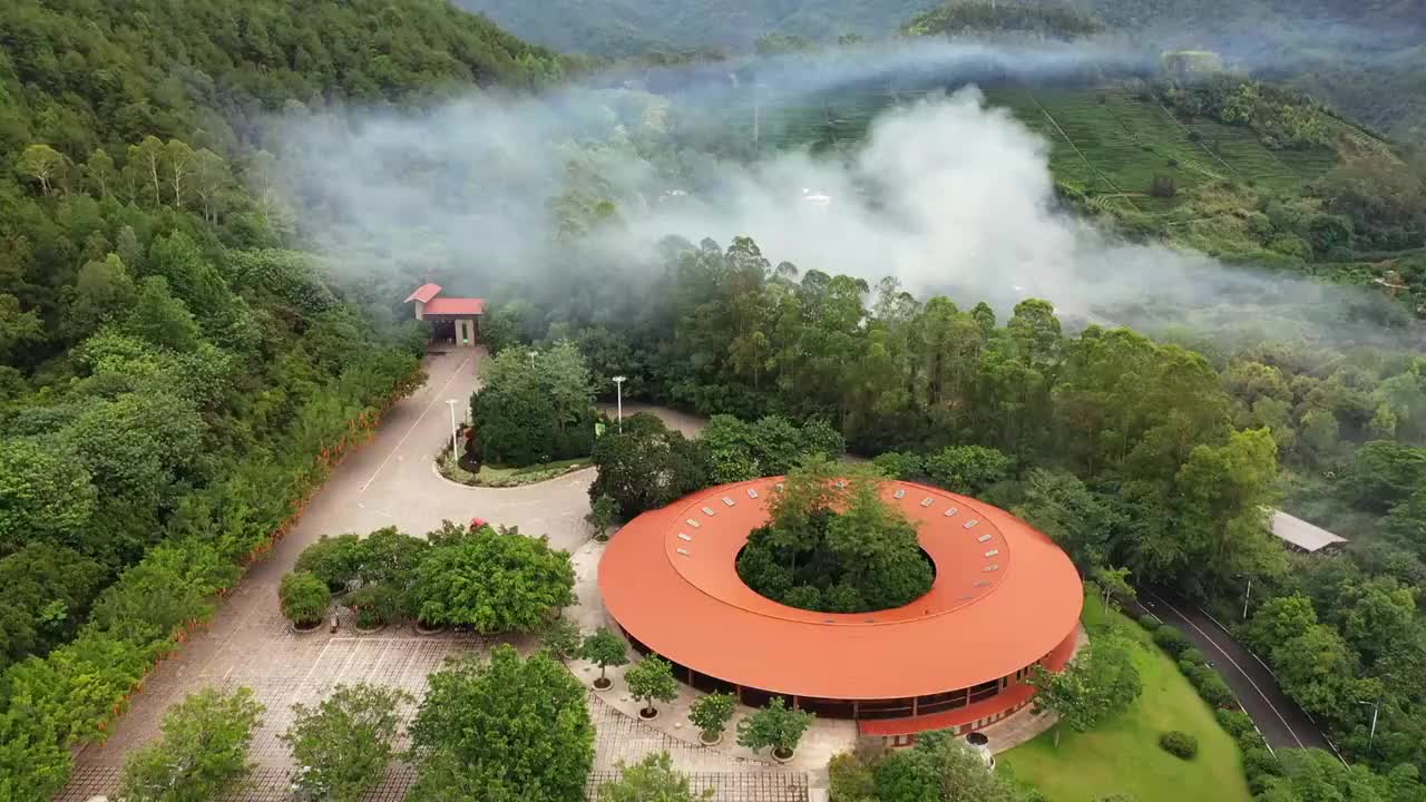 广东省梅州市梅县区雁南飞茶田景区航拍视频素材