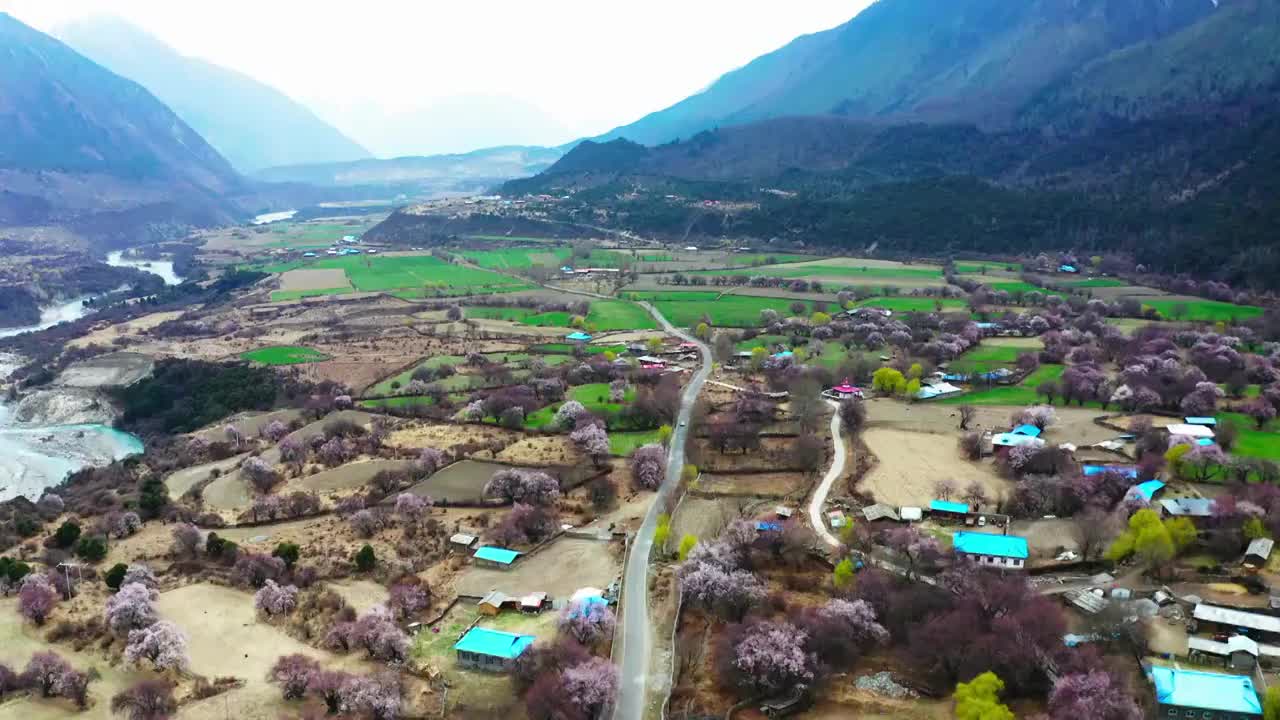 航拍林芝桃花沟视频素材