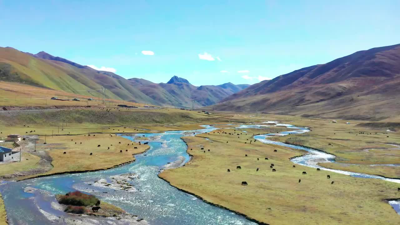 航拍甘孜州草原河流视频素材