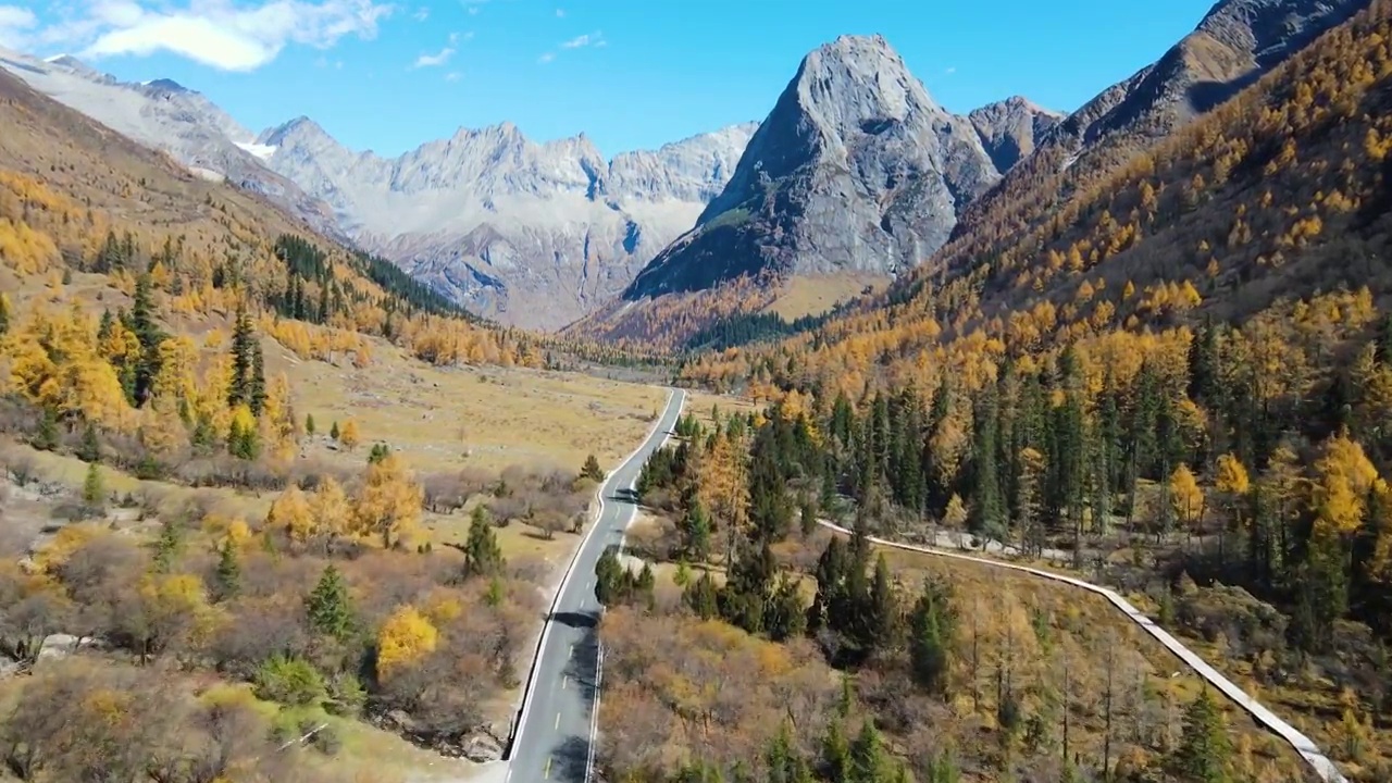 航拍秋天中午四川小金县四姑娘山，牛棚子景点，视频素材