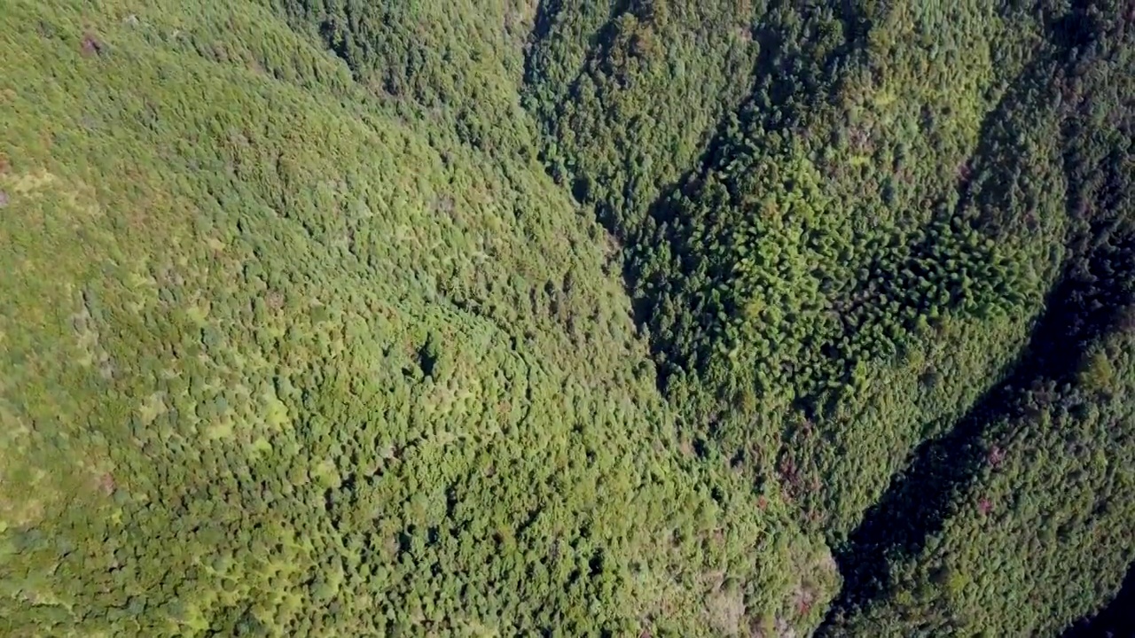 绿色大山镜头俯视转仰视视频素材