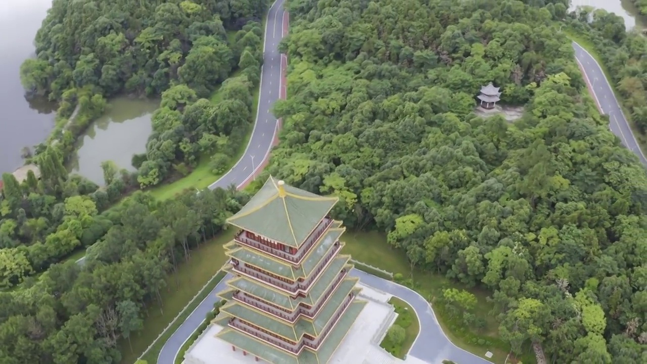 森林古塔视频素材