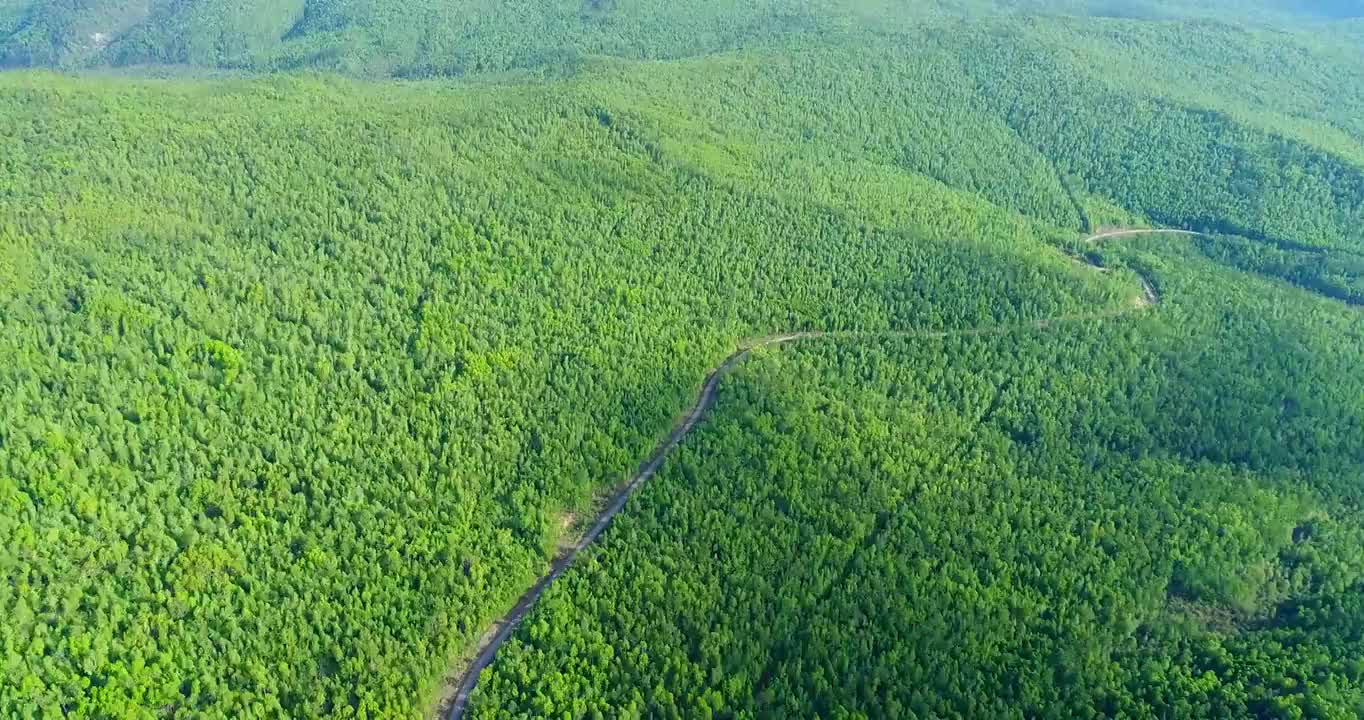 航拍大兴安岭原始森林绿色林海视频素材