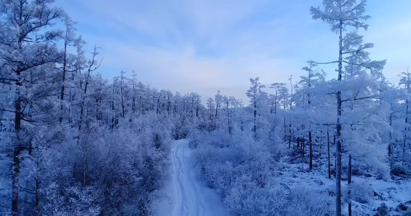 大兴安岭冬季林海雪原公路风景视频素材