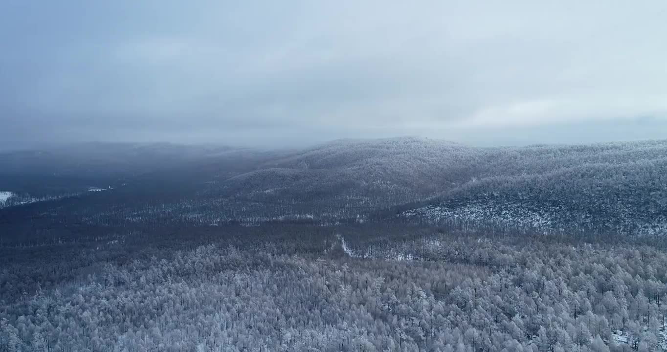 航拍大兴安岭冬季林海雪原雾凇视频素材