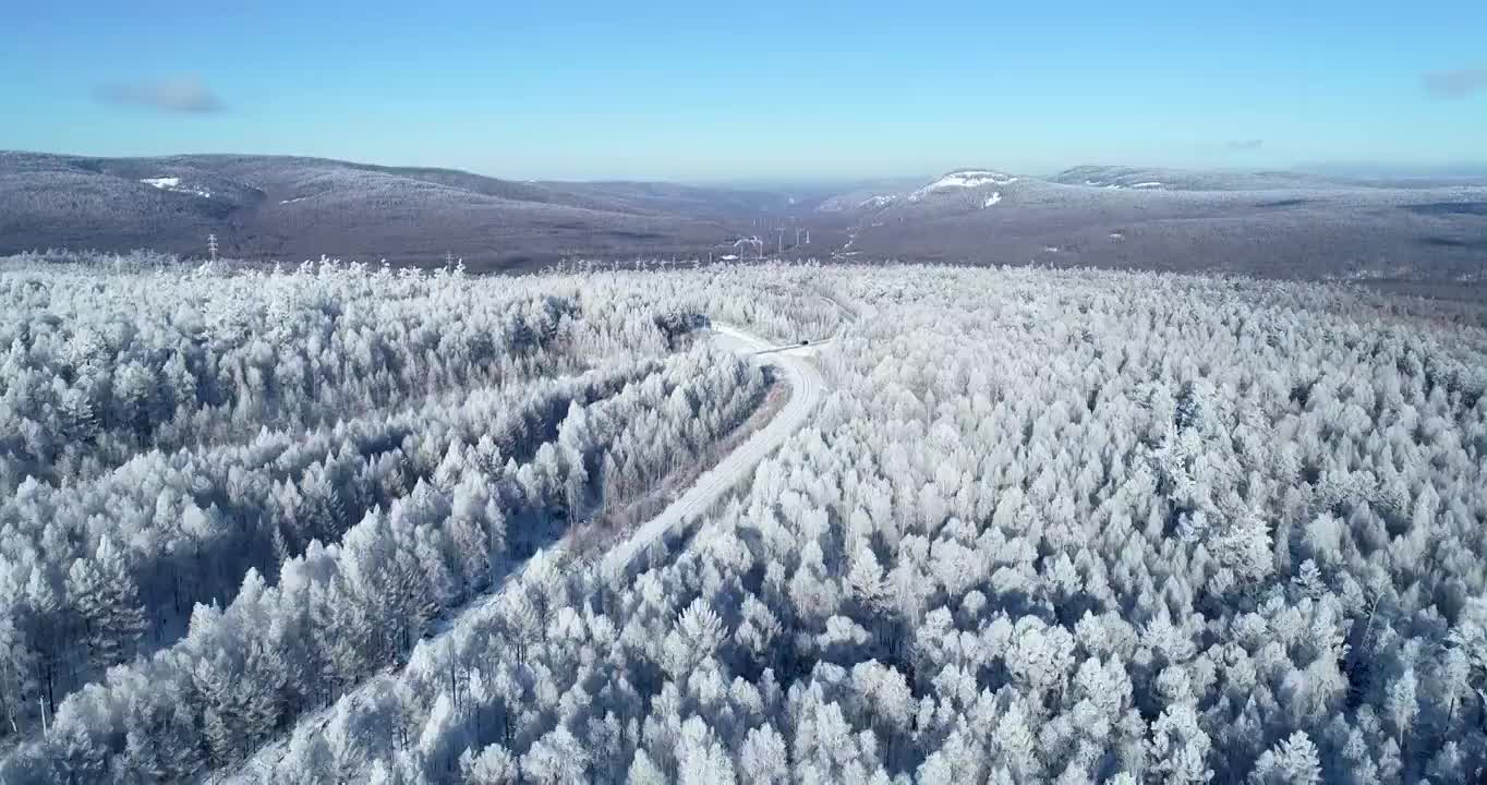 航拍大兴安岭冬季林海雪原雾凇视频素材