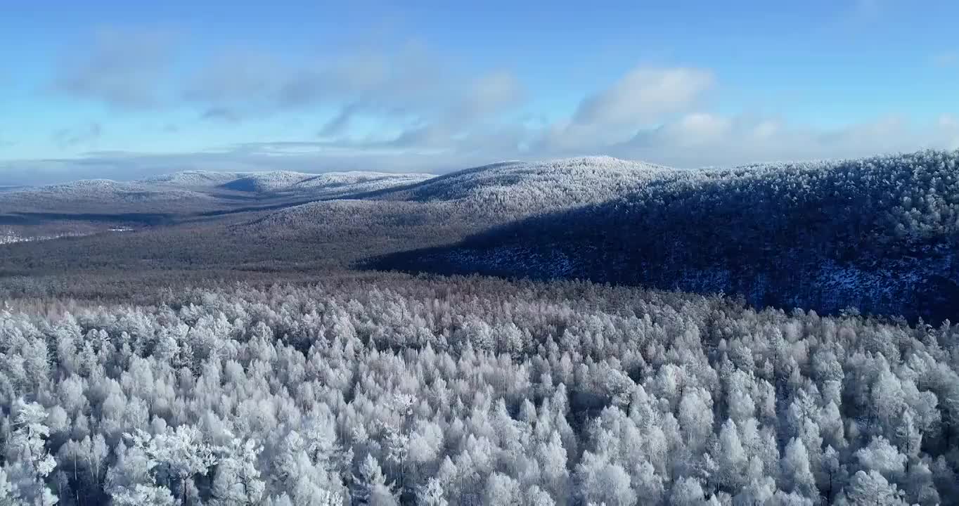 航拍大兴安岭冬季林海雪原雾凇视频素材