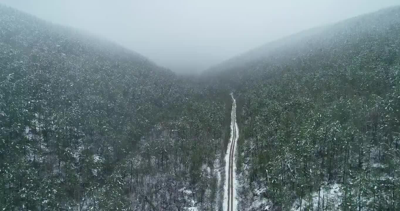 航拍大兴安岭端天气降雪山林公路雾凇视频素材