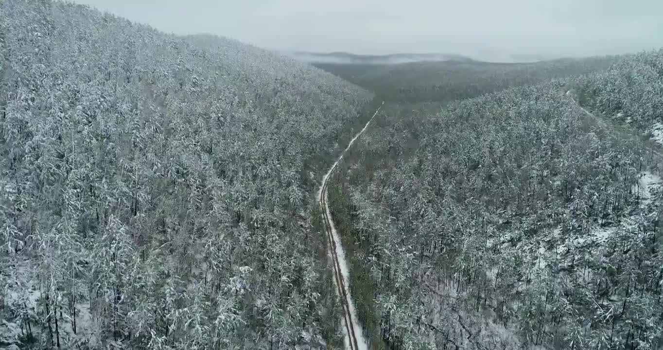 航拍大兴安岭端天气降雪山林公路雾凇视频素材