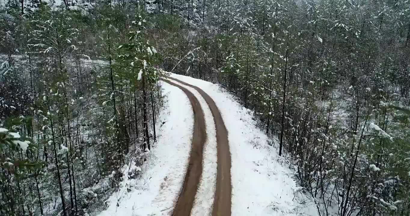 航拍大兴安岭端天气降雪山林公路雾凇视频素材