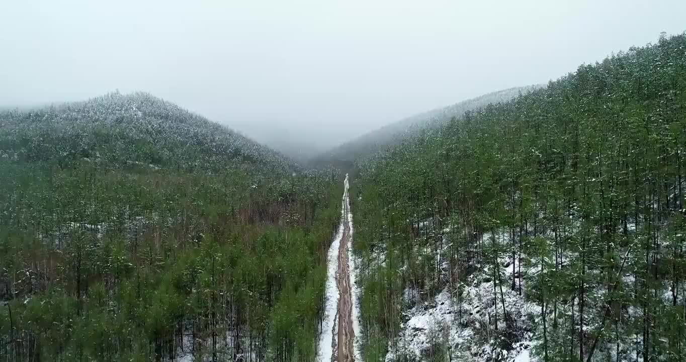 航拍大兴安岭端天气降雪山林公路雾凇视频素材