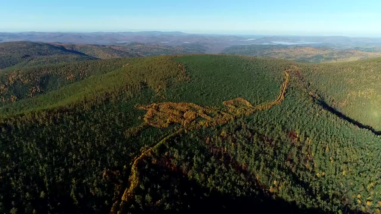 航拍大兴安岭原始森林彩林山路视频素材