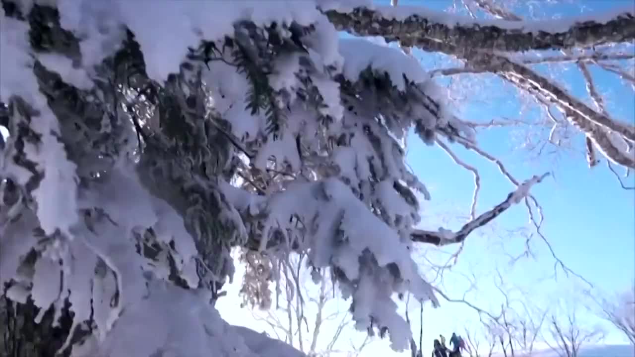 中国运动员滑雪训练和比赛场景视频素材