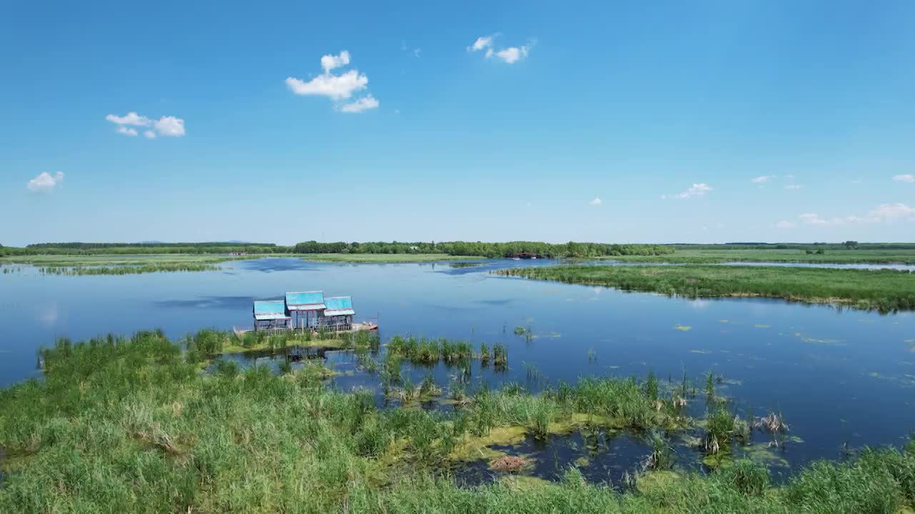 湿地风光视频素材