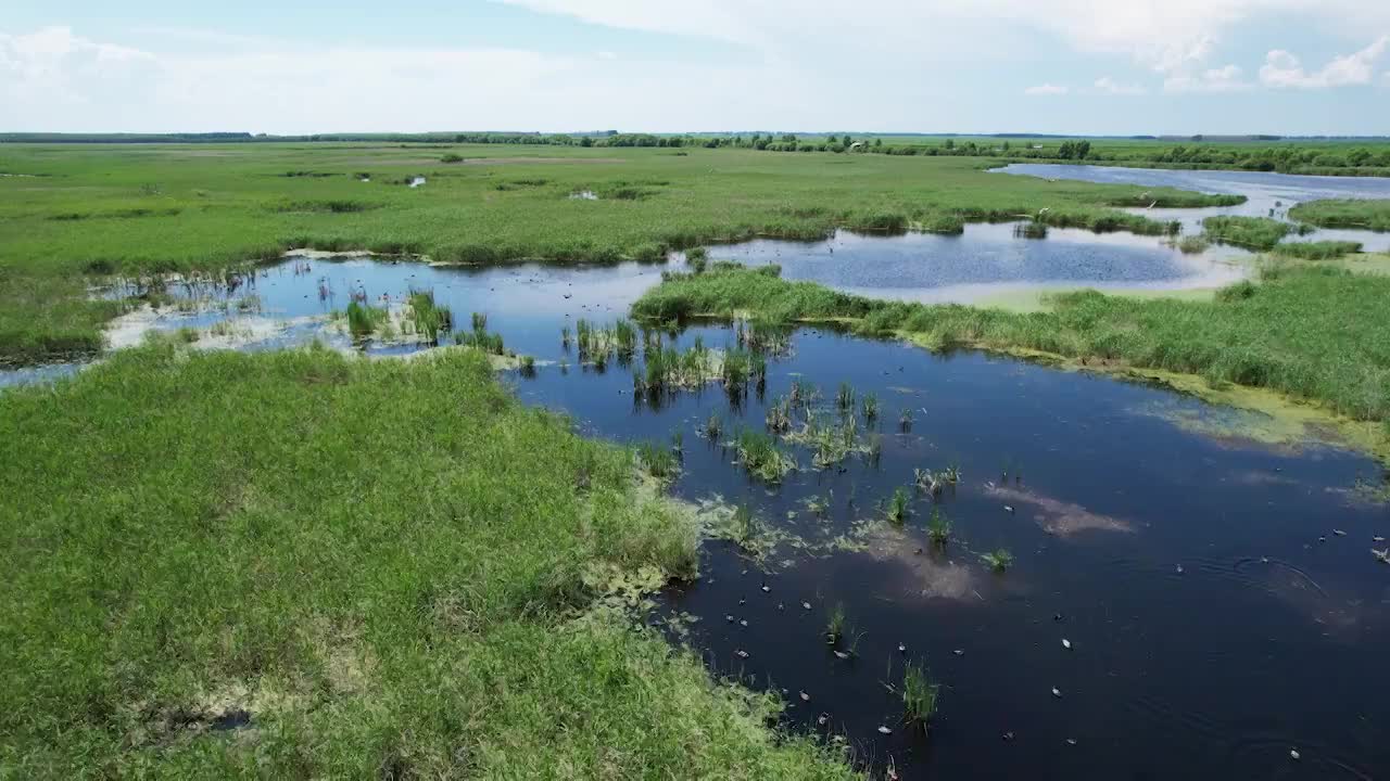 湿地风光湿地风光视频素材