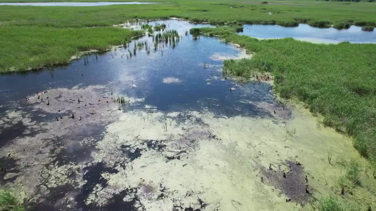 湿地风光视频素材