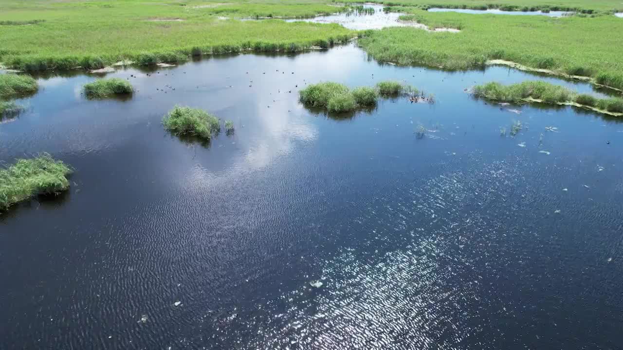 湿地风光视频素材