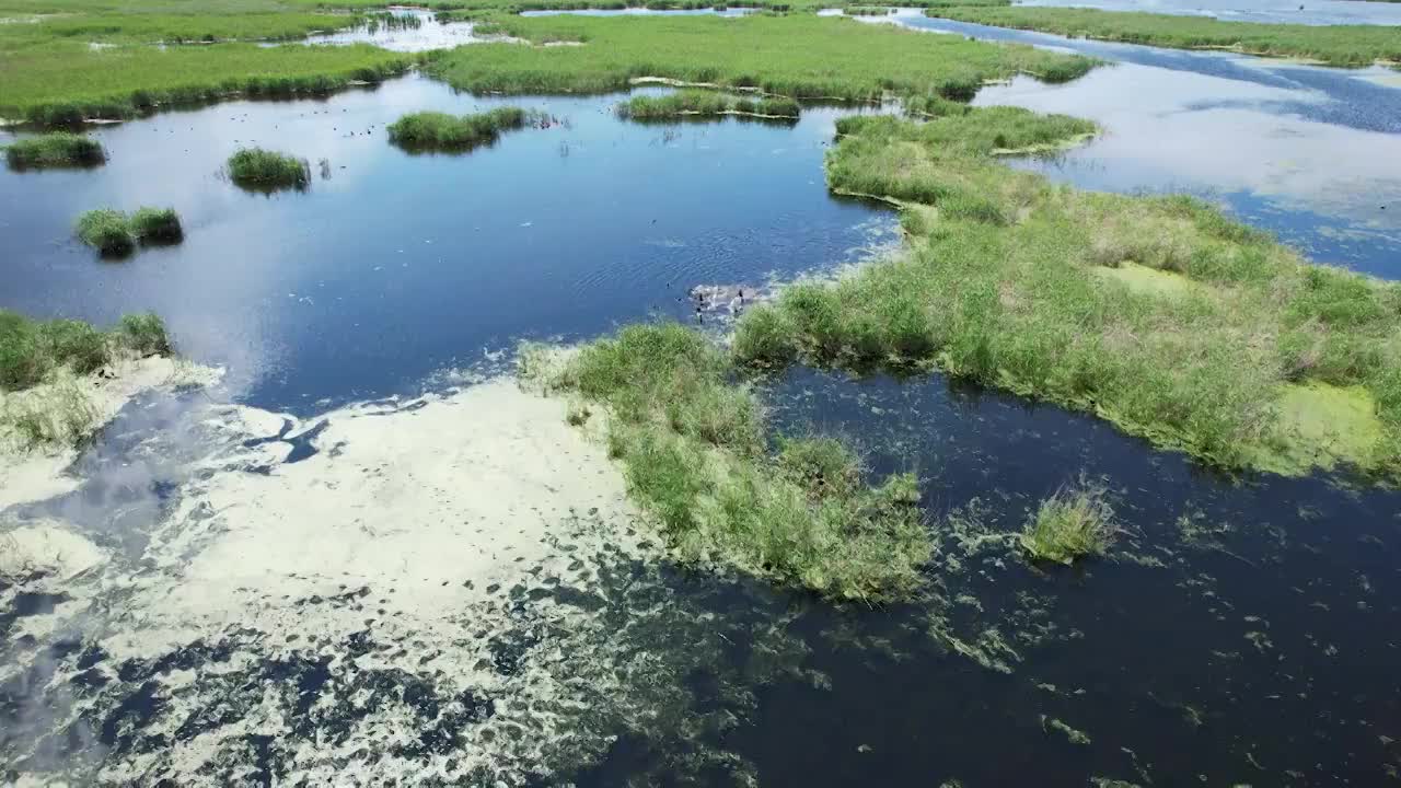 湿地风光视频素材