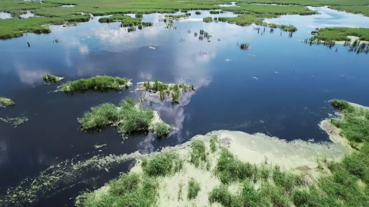 湿地风光视频素材