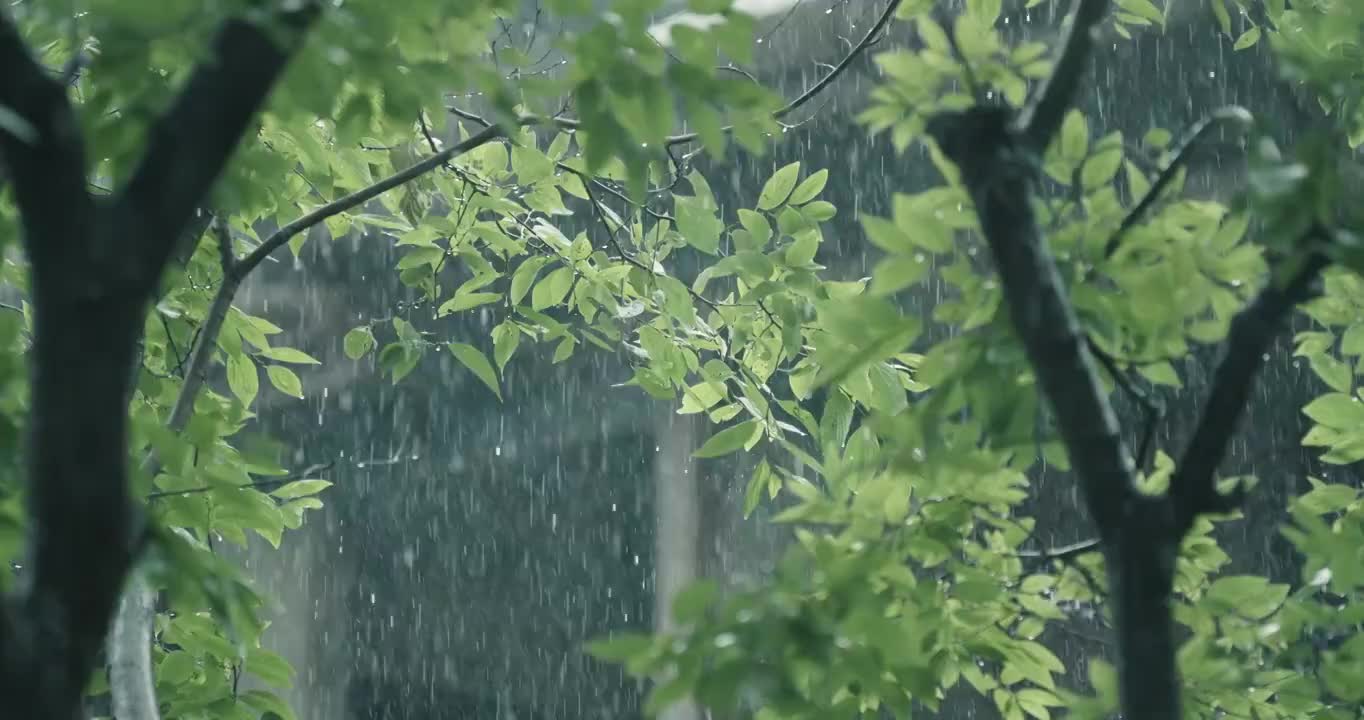 下雨升格视频素材视频素材