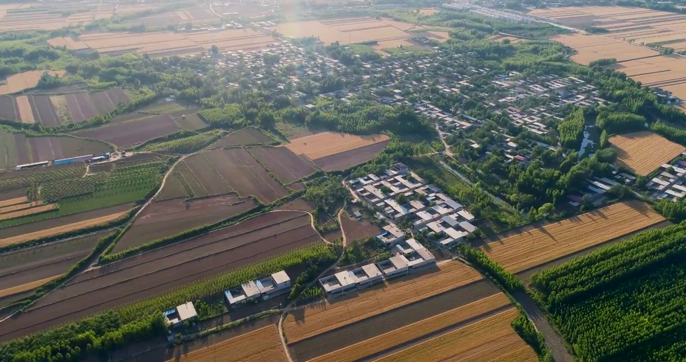 田野视频素材