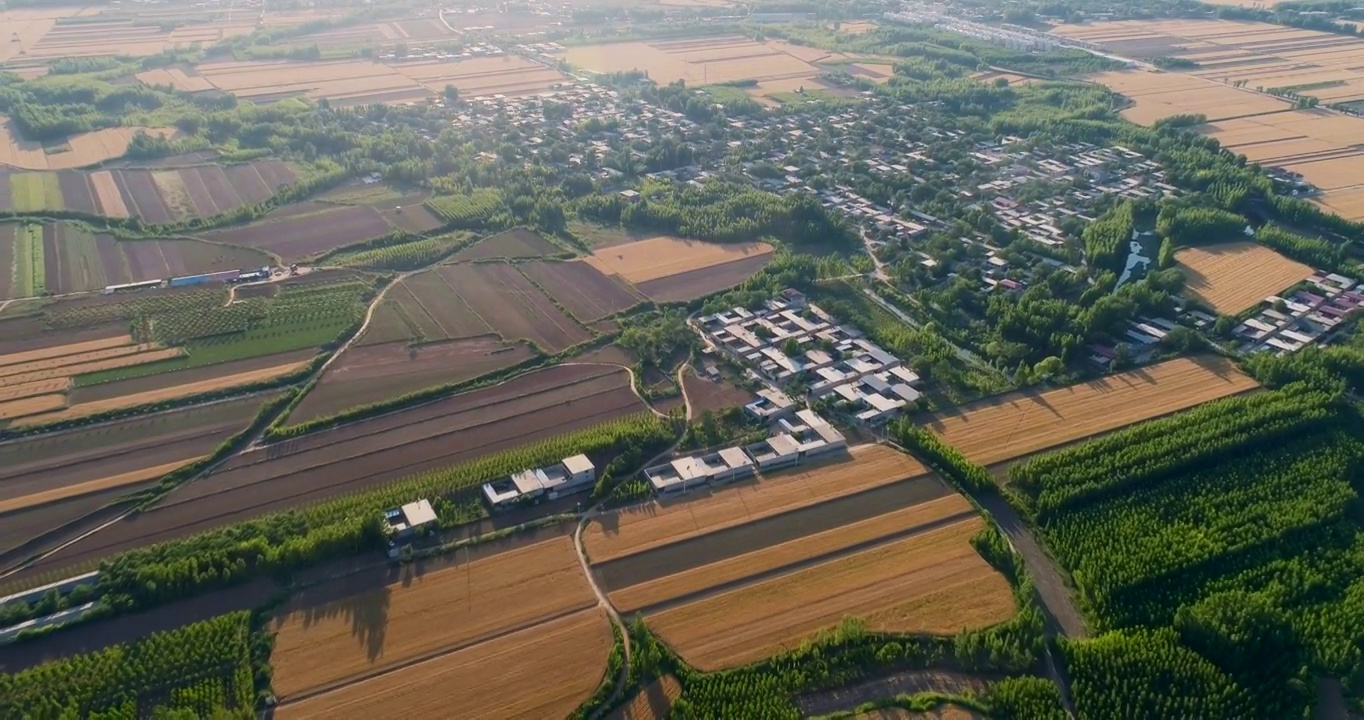 田野视频素材