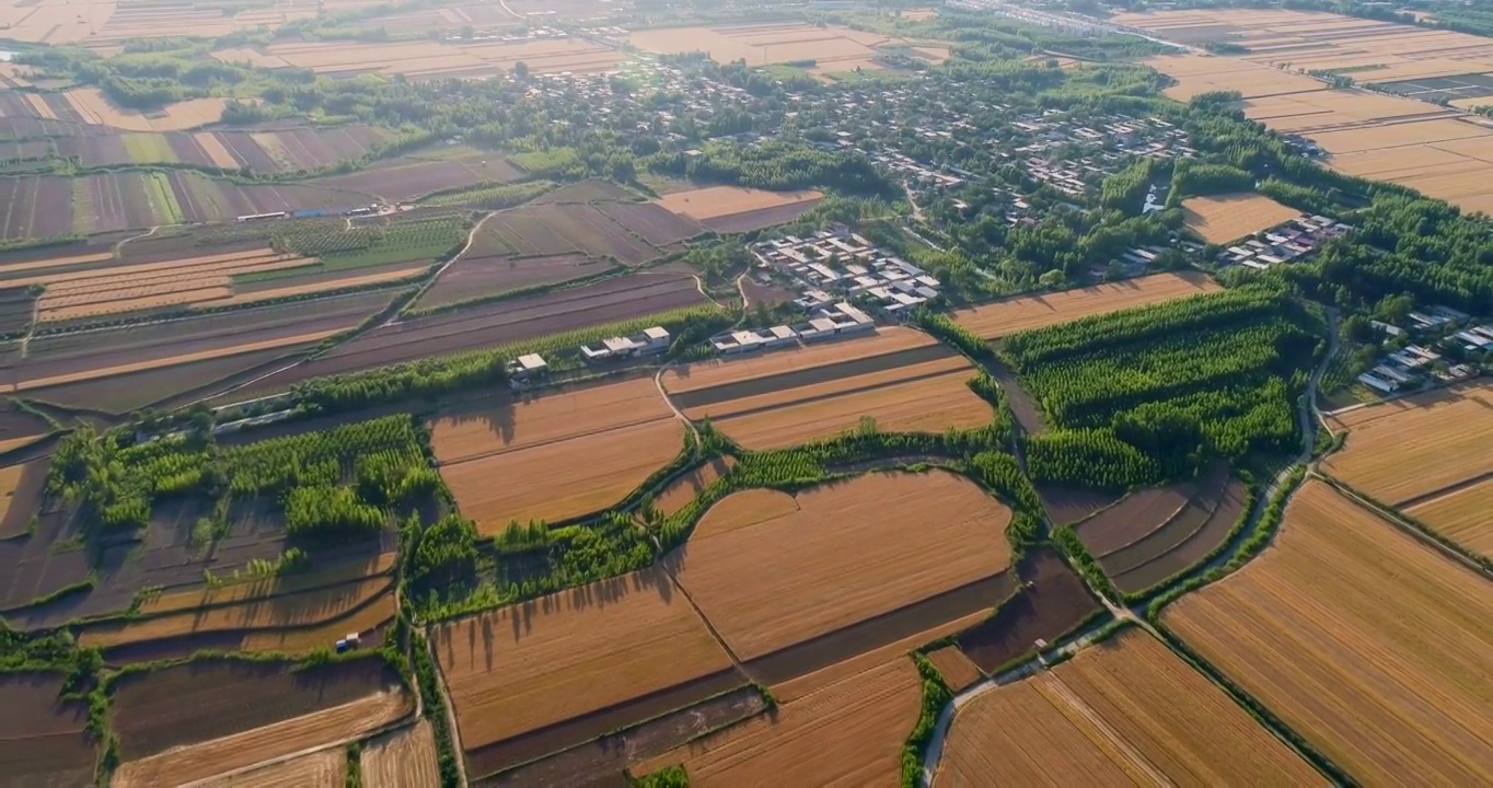 田野视频素材