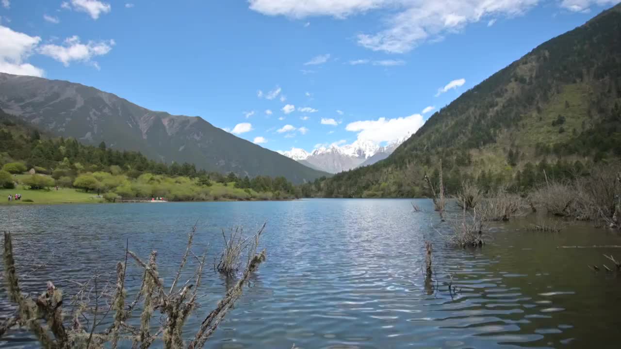 康定木格措风景区莲花湖莲花雪山清澈干净的水面原始森林植被视频素材