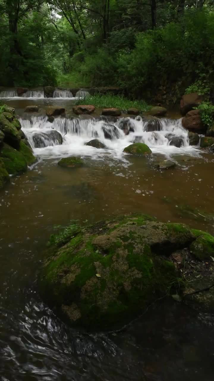 山里流水小溪瀑布视频素材