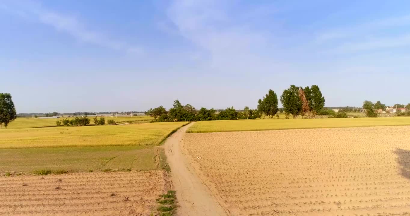 田野与湖泊视频素材